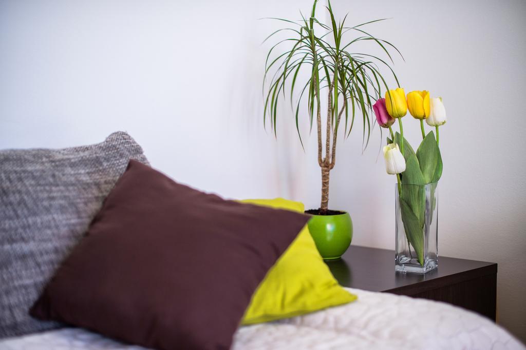 Apartment Dominik Podstrana Dış mekan fotoğraf